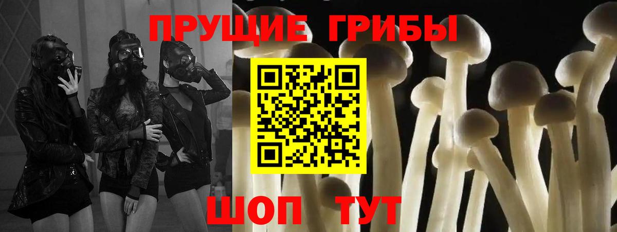 Жуковский  где найти   Вход с VPN  Галлюциногенные грибы мухоморы 