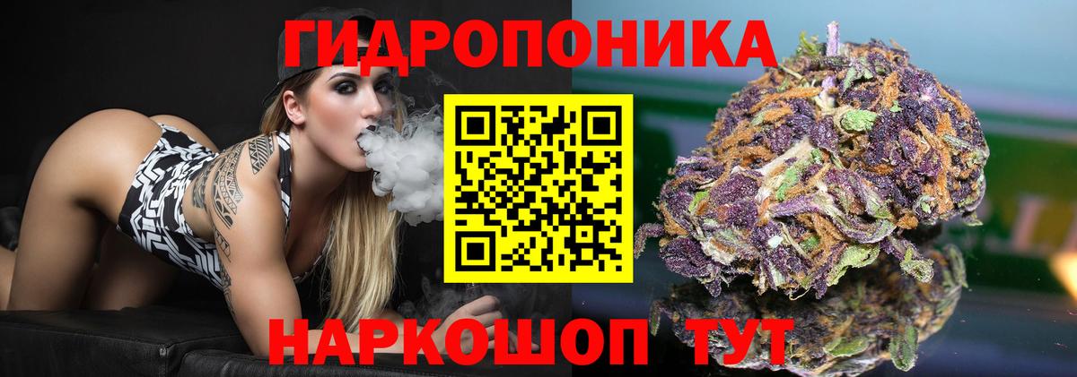 Бошки марихуана гибрид Жуковский